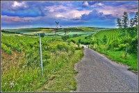 /album/fotogalerie-foto-cestou/cyklo-boretice-1-jpg/